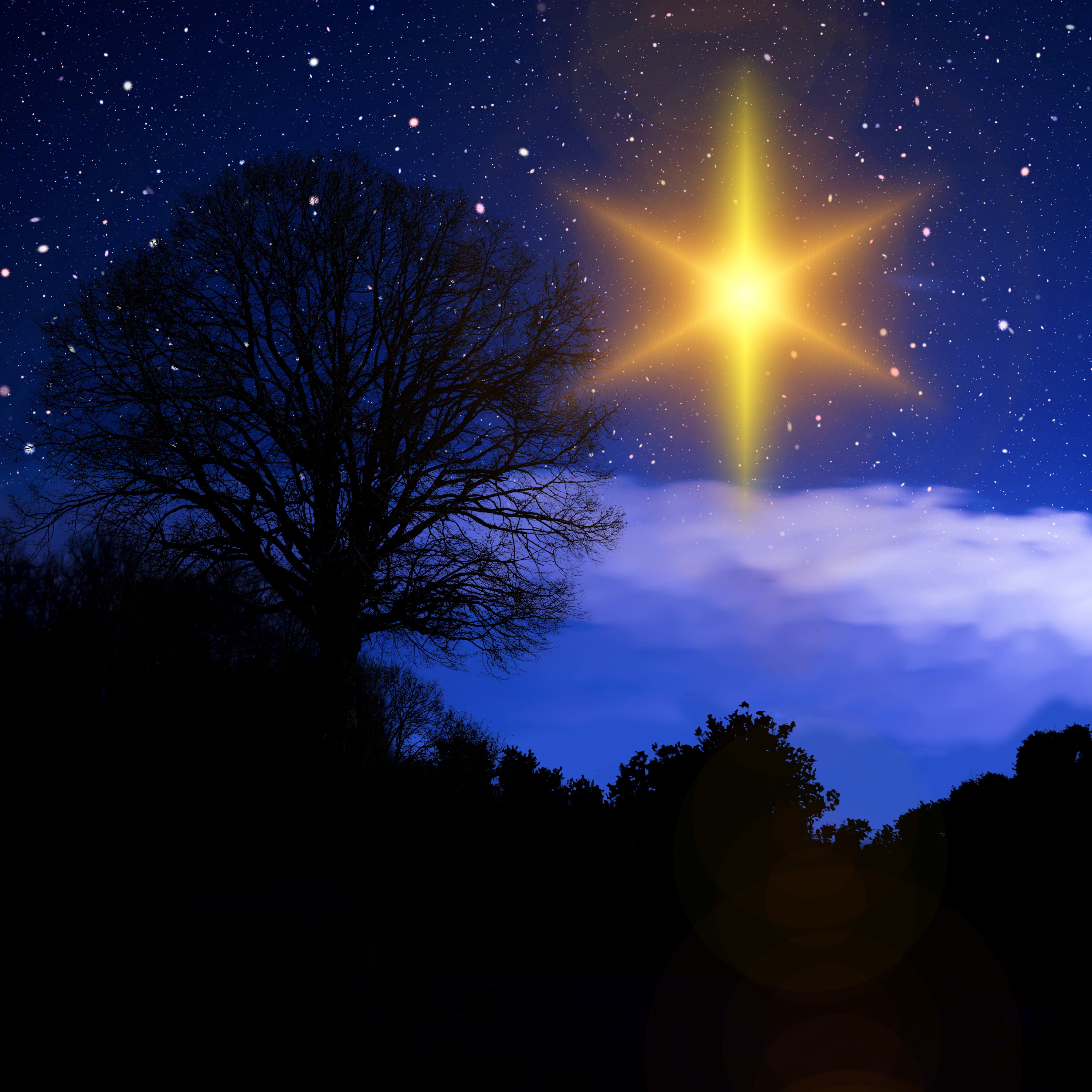 Christmas Stars Christmas Stars